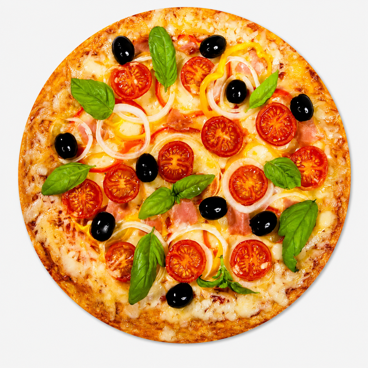 ๐ Realistic Food Print Flannel Blanket โ Cozy Burrito & Pizza Throw โจ