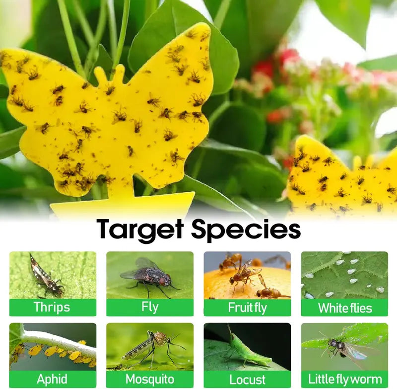 50 Pack Yellow Sticky Traps, Fungus Gnat Traps for House Indoor Plants