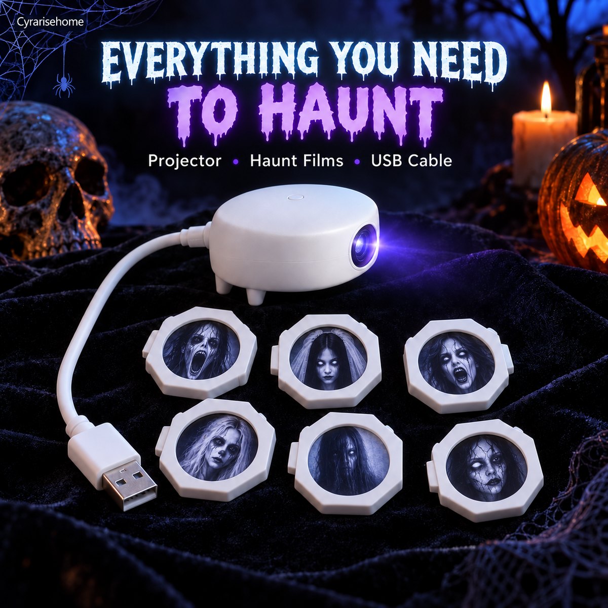 Seasonal Window Projection Light, Halloween & Christmas Decor