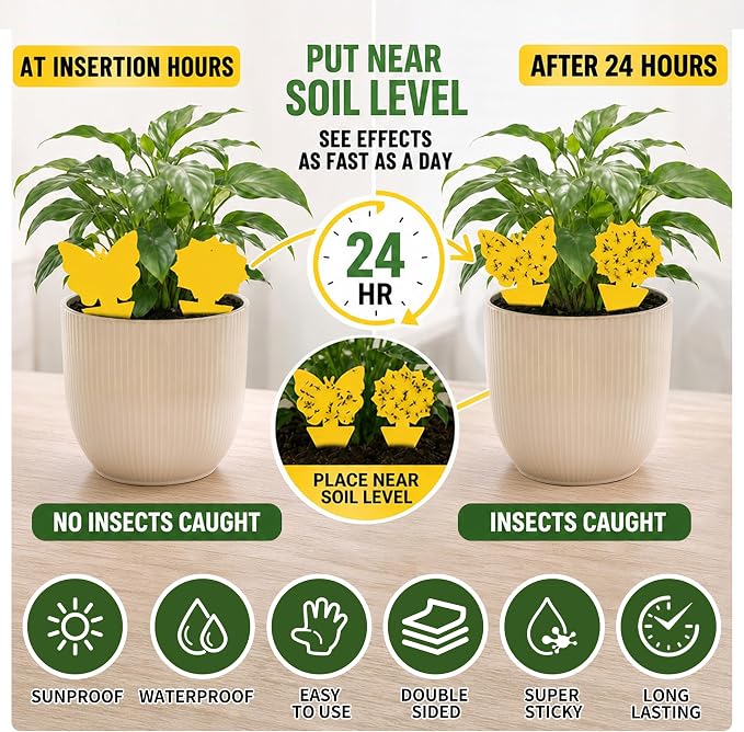 50 Pack Yellow Sticky Traps, Fungus Gnat Traps for House Indoor Plants