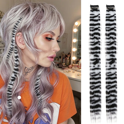 Colored clip-on highlights hair extensions（2Pcs）