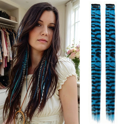 Colored clip-on highlights hair extensions（2Pcs）