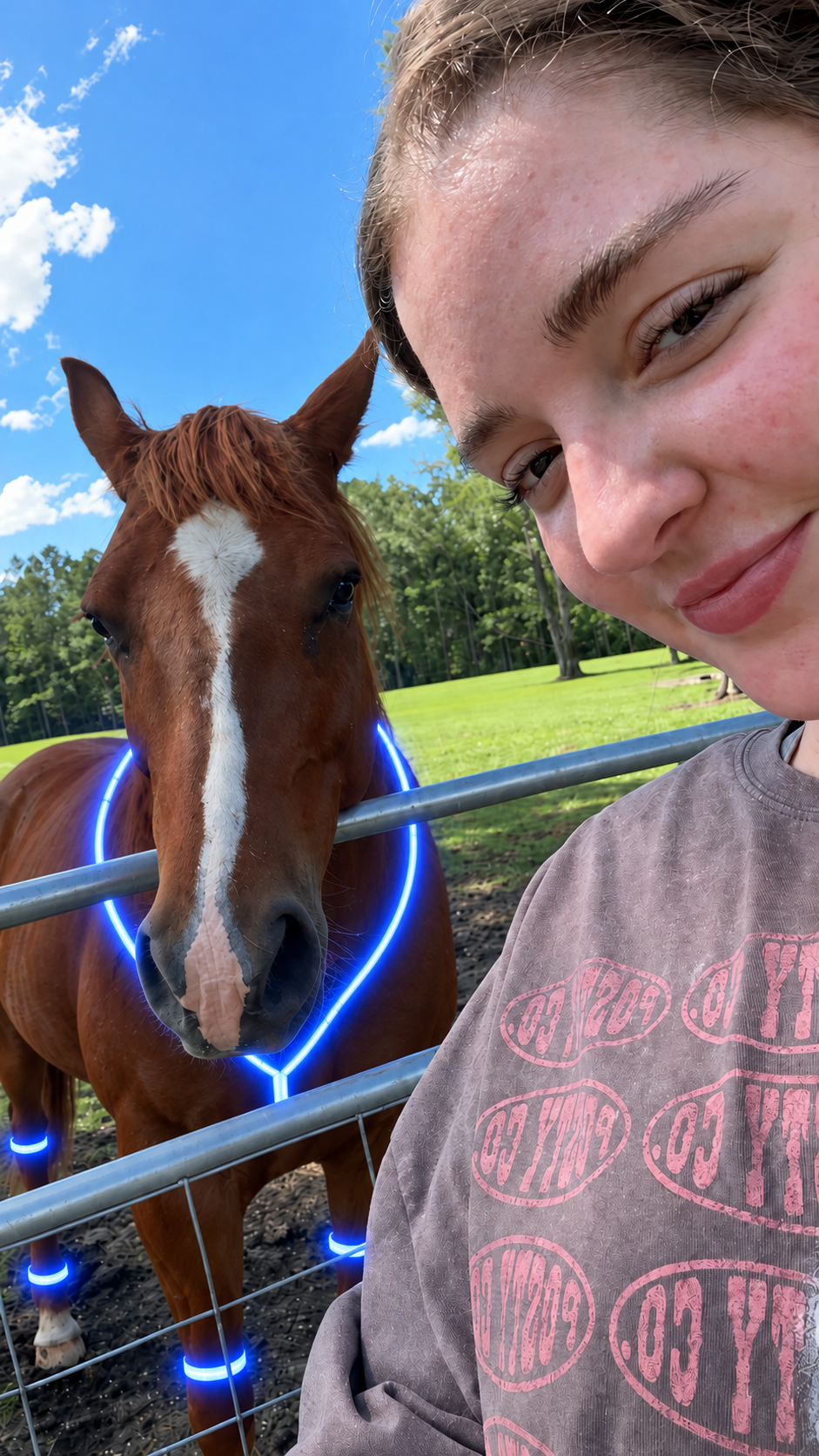 🔥Last Day 50%❤️🐎 LED Horse Night Riding Lights – Full-Body Glow Kit with Enhanced Visibility & 12 Lighting Modes