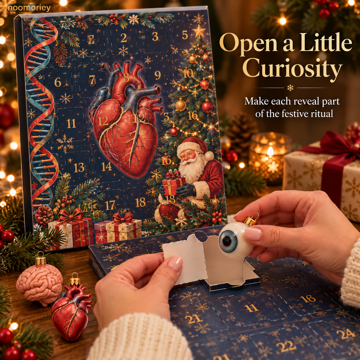 🎄 Anatomy Christmas Advent Calendar – Unique Organ-Shaped Ornaments & Holiday Surprises for Nurses, Medical Students & Science Lovers ！！！🎁